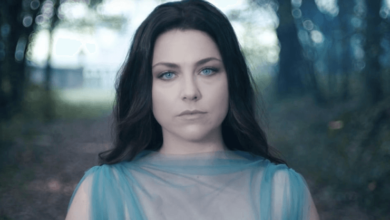 Amy Lee Net Worth