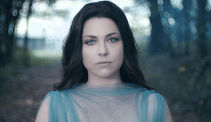 Amy Lee Net Worth