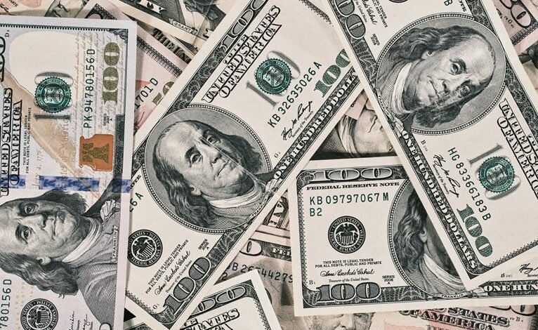 zeddy will s net worth