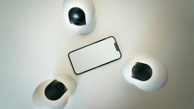 fraud detection phone numbers